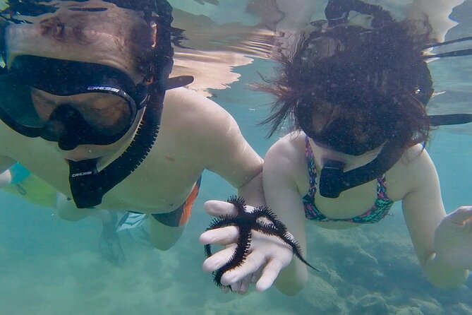 Guided Snorkel Tour for Beginners in Honolulu - What to Expect During the Tour