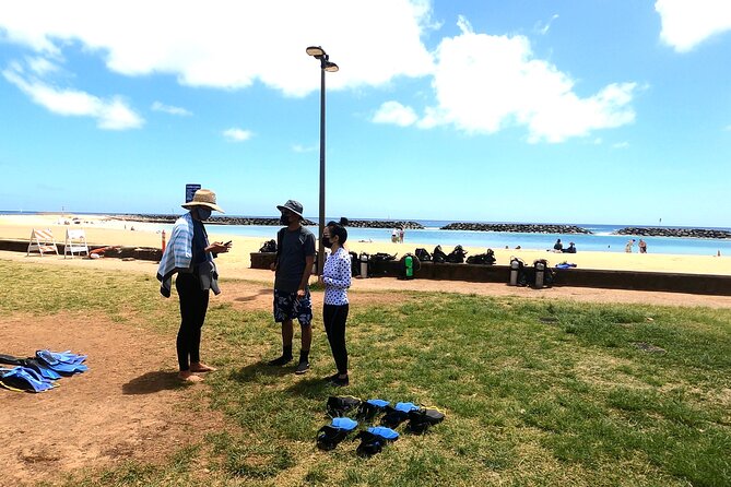 Guided Snorkel Tour for Beginners in Honolulu - Exploring Marine Life