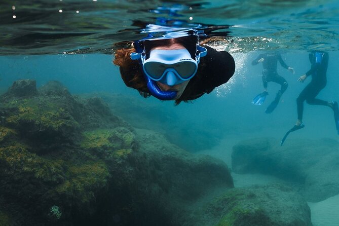 Guided Snorkeling Activity in Papagayo Beach Lanzarote - Overview of Snorkeling Activity