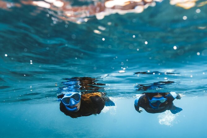Guided Snorkeling Activity in Papagayo Beach Lanzarote - How to Get There