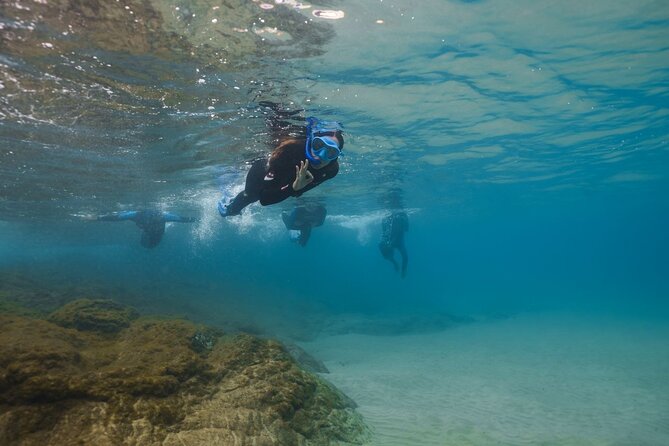 Guided Snorkeling Activity in Papagayo Beach Lanzarote - Booking and Confirmation