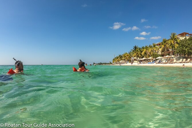 Guided Snorkeling Adventure in West Bay - Inclusions and Transportation