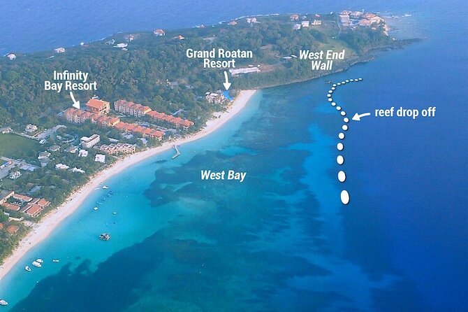 Guided Snorkeling Adventure in West Bay - Tour Experience and Accessibility