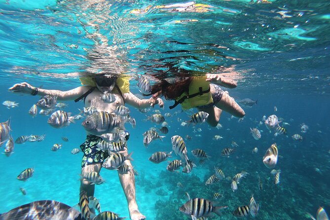 Guided Snorkeling Adventure in West Bay - Positive Guest Reviews