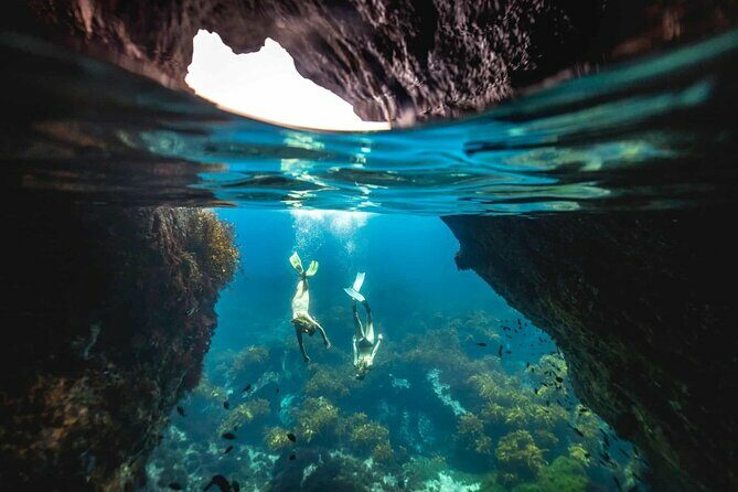 Guided Snorkeling and Island Exploration in Auckland - An Overview of What the Tour Offers