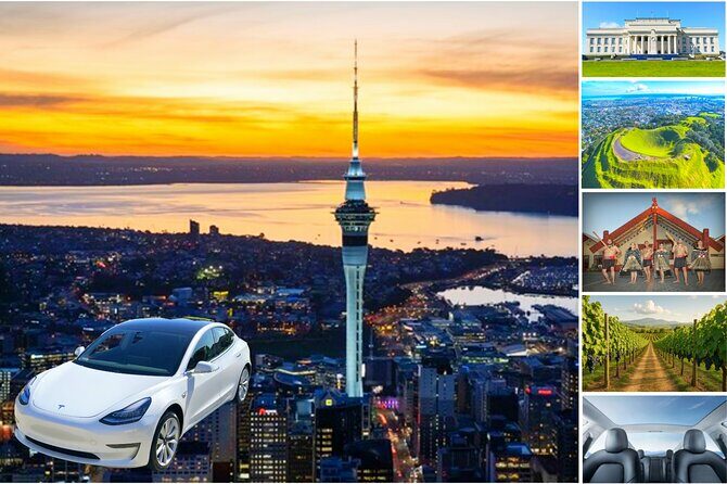 Guided Snorkeling and Island Exploration in Auckland - The Sum Up: Is This Tour Worth It?