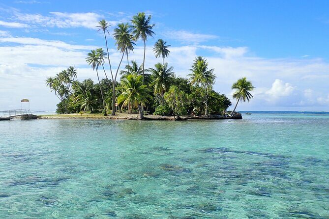Guided Snorkeling and Relaxation on the Motu Ofetaro in Raiatea - Key Points