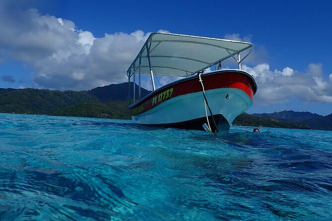 Guided Snorkeling and Relaxation on the Motu Ofetaro in Raiatea - FAQ