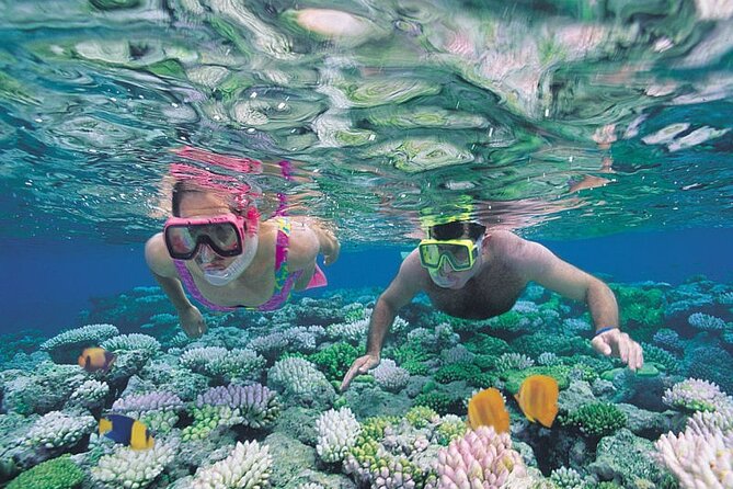 Guided Snorkeling Experience in Caleta De Fuste - Traveler Reviews Breakdown