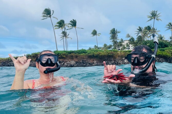 Guided Snorkeling for Beginners With Flotation Wetsuit - Inclusions and Safety Measures