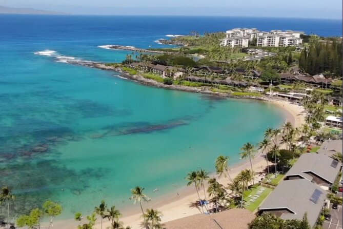 Guided Snorkeling for Beginners With Flotation Wetsuit - Meeting Information