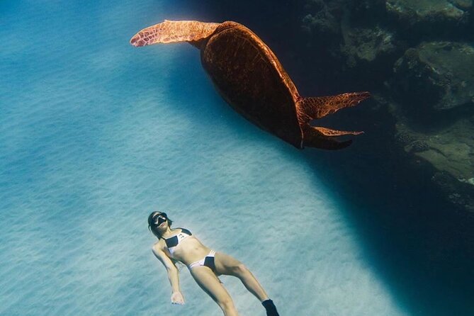 Guided Snorkeling for Beginners With Flotation Wetsuit - Preparing for the Tour