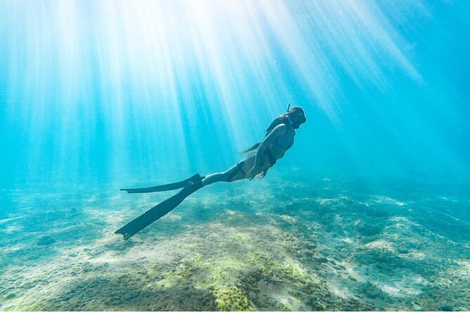 Guided Snorkeling for Beginners With Flotation Wetsuit - Capturing Memories