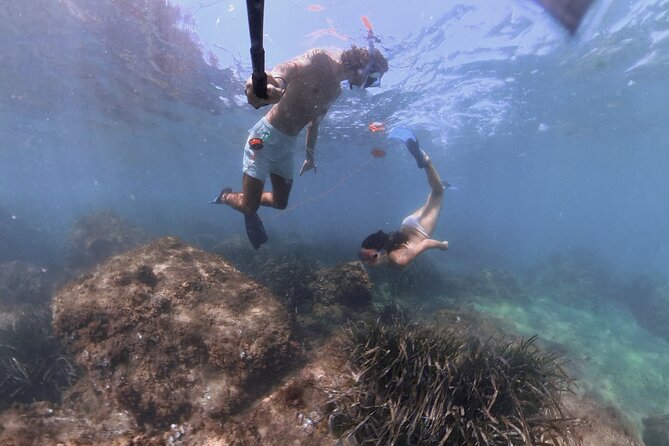 Guided Snorkeling in a Secret Spot of Begur, Costa Brava - Mauis Expertise and Knowledge of Marine Life