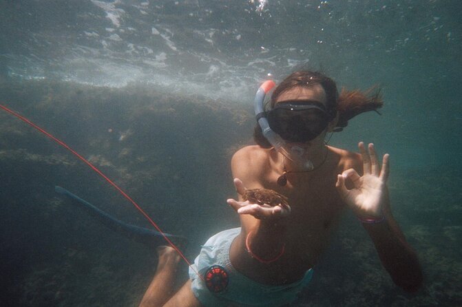 Guided Snorkeling in a Secret Spot of Begur, Costa Brava - Unique and Memorable Customer Experiences