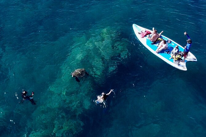 Guided Snorkeling Tour for Non-Swimmers Wailea Beach - Tour Operator and Contact Details