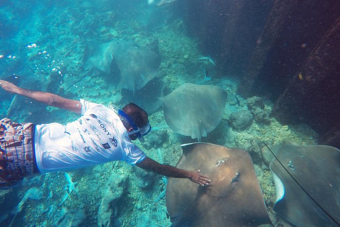 Guided Snorkeling Trip - Inclusions and Pricing