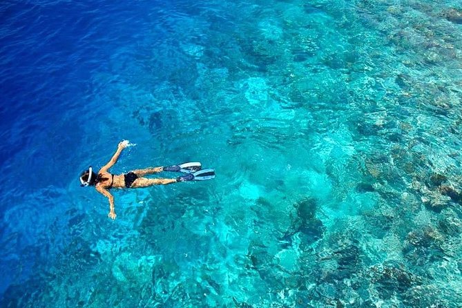 Guided Snorkeling Trip - Additional Information