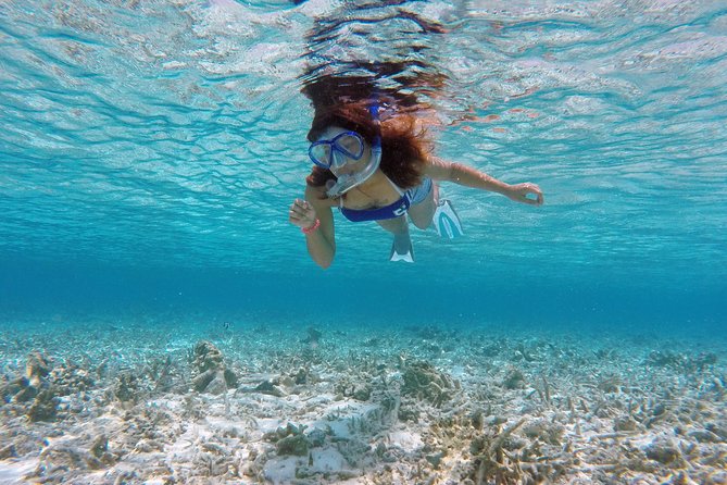 Guided Snorkeling Trip - Key Points