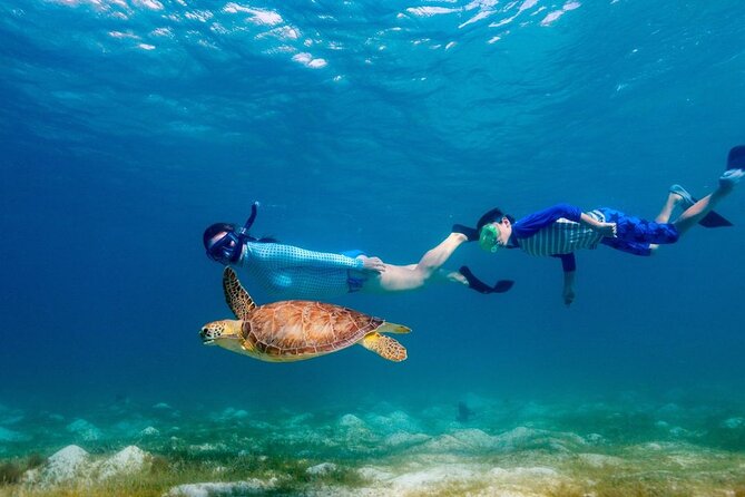 Guided Snorkeling Trip to the Turtles in Protaras - Meeting Diverse Needs