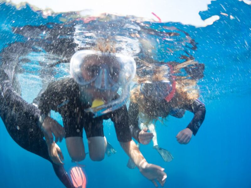 Guided Snorkelling With a Marine Biologist From Sorrento - Key Points