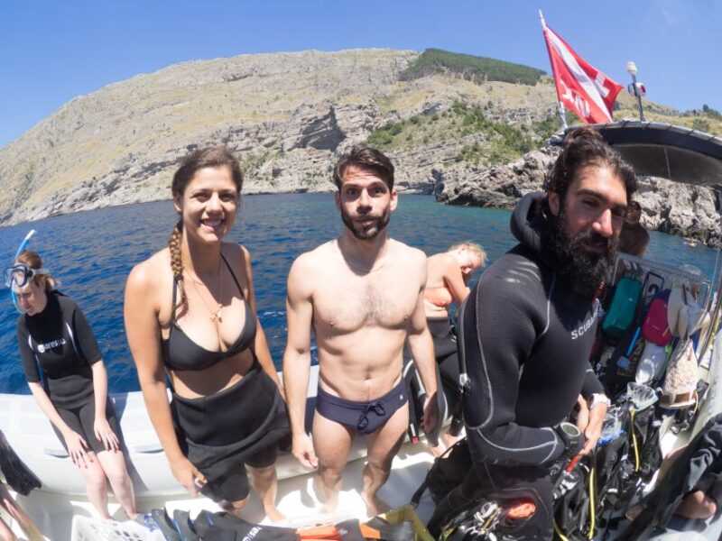 Guided Snorkelling With a Marine Biologist From Sorrento - Experience Highlights
