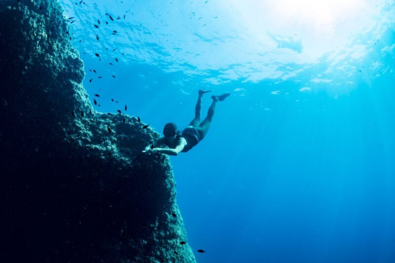 Guided Snorkelling With a Marine Biologist From Sorrento - Booking Information