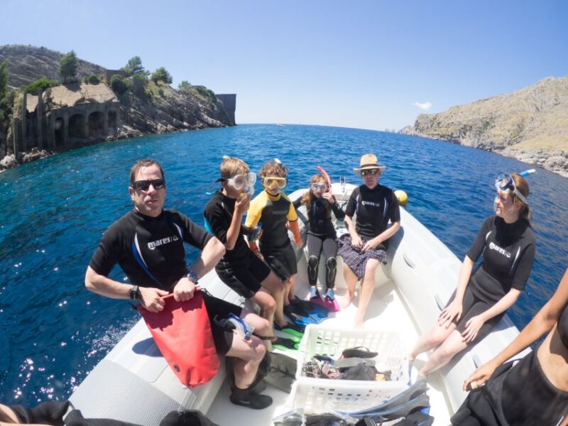 Guided Snorkelling With a Marine Biologist From Sorrento - Customer Feedback