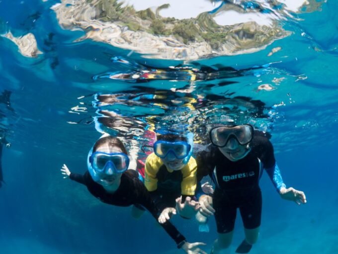 Guided Snorkelling With a Marine Biologist From Sorrento - Group Size and Duration