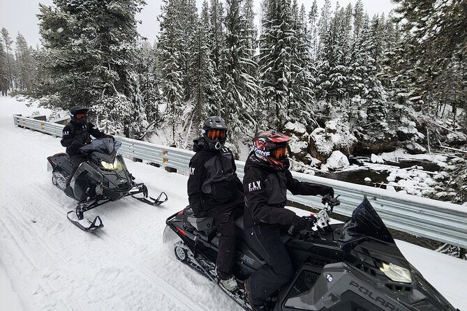 Guided Snowmobile Tours In The National Volcanic Monument - Highlights of the Snowmobile Experience