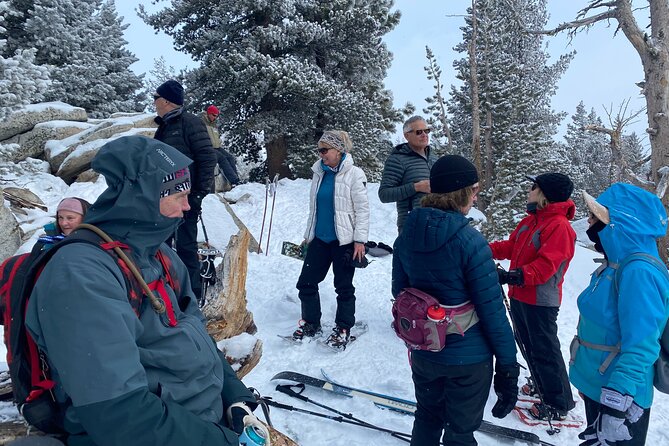 Guided Snowshoe Experience in Lake Tahoe - Embracing the Peaceful Surroundings