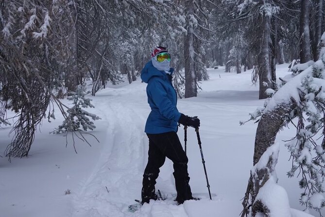 Guided Snowshoe Experience in Lake Tahoe - Preparing for the Snowshoe Experience