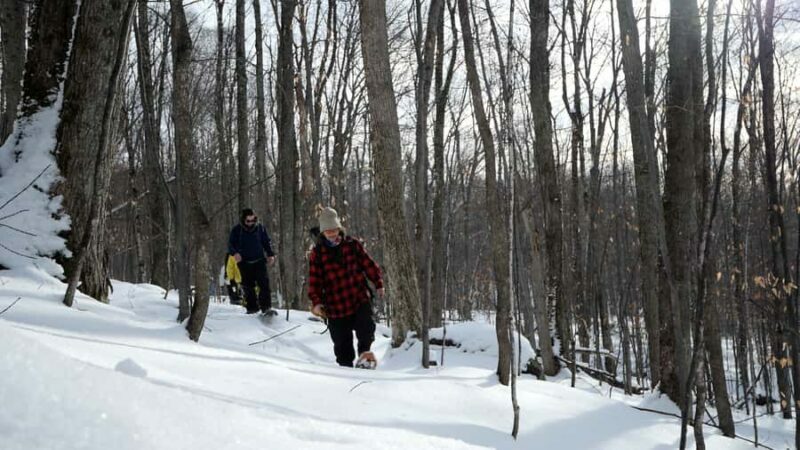 Guided Snowshoe Tour in Mont-Tremblant - Key Points