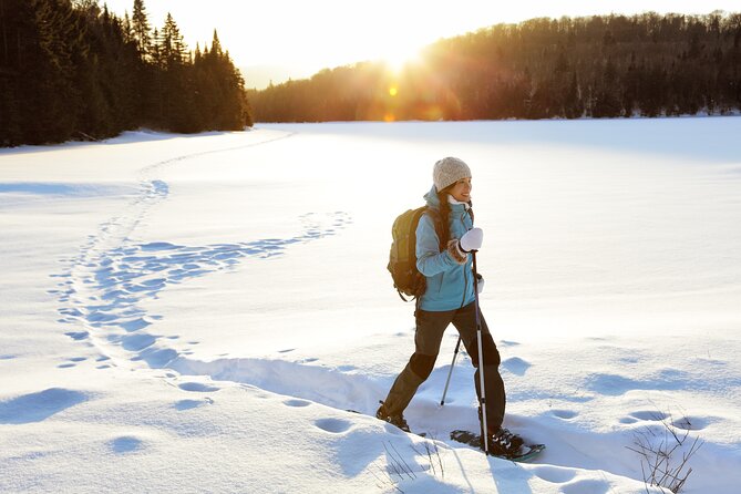 Guided Snowshoe Tour Near Breckenridge - Half Day, All Abilities - Key Points