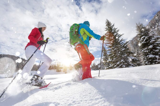 Guided Snowshoe Tour Near Breckenridge - Half Day, All Abilities - Cancellation and Payment