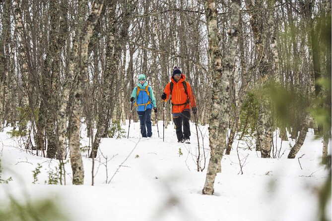 Guided Snowshoe Tour Near Breckenridge - Half Day, All Abilities - Reviews and Ratings