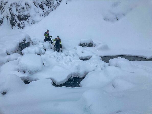 Guided Snowshoeing Adventure in Seward, Alaska - Snowshoeing Through Picturesque Landscapes