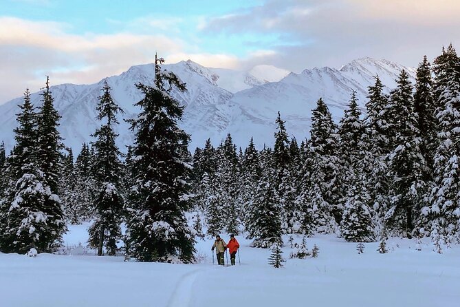 Guided Snowshoeing Adventure in Seward, Alaska - Exploring Unique Geological Formations