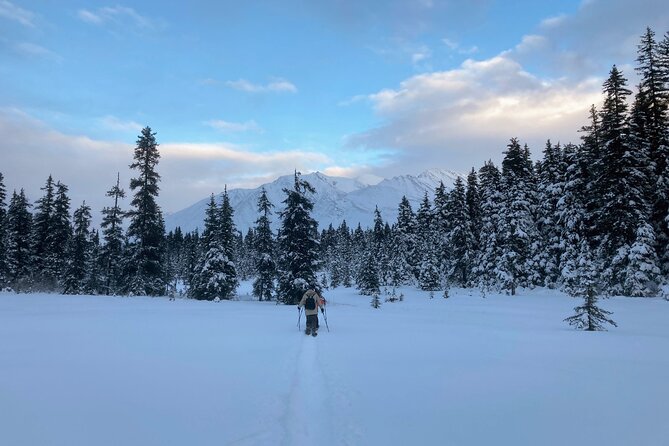 Guided Snowshoeing Adventure in Seward, Alaska - Returning to the Meeting Point