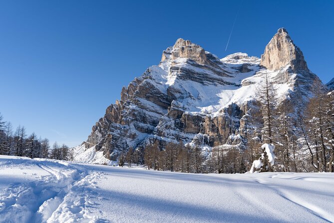 Guided Snowshoeing Day to Discover the Dolomites - Customer Feedback and Ratings