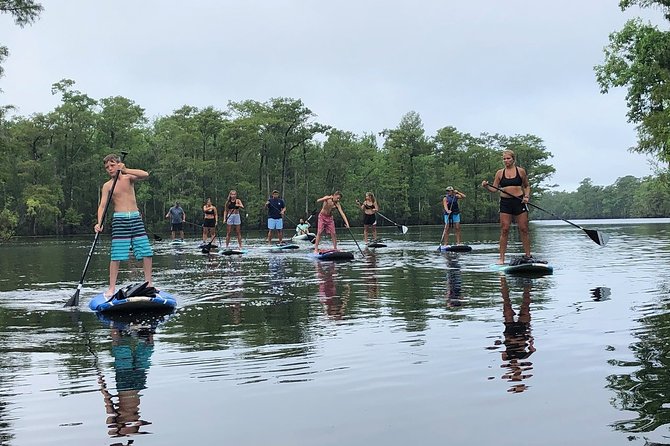 Guided Stand-Up Paddleboard - Scenic Highlights