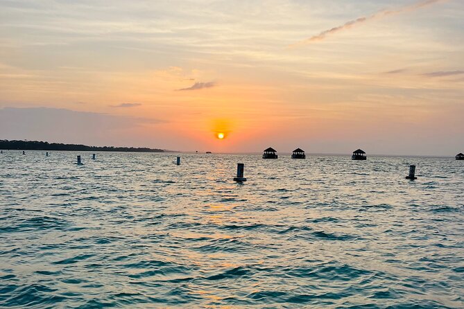 Guided Sunset and Dolphin Cruise Up to 22 Passengers in Florida - Inclusions and Fees