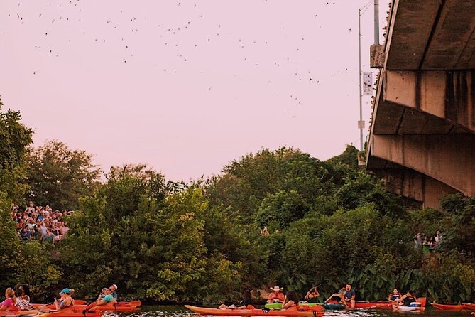 Guided Sunset Bat Kayak Tour in Austin - Tour Timing and Duration