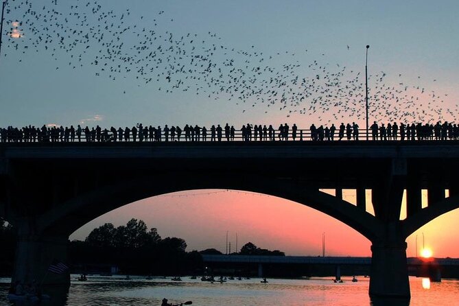 Guided Sunset Bat Kayak Tour in Austin - Booking and Cancellation Policy