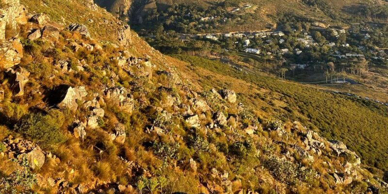 Guided Sunset-Sunrise Hike on Lions Head, Cape Town (Pickup) - Customer Feedback