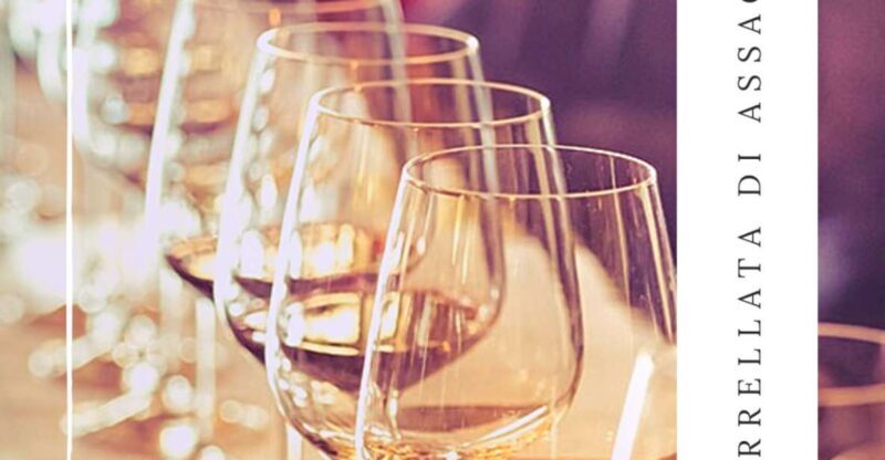Guided Tasting of Local Wines - Since Your Asked