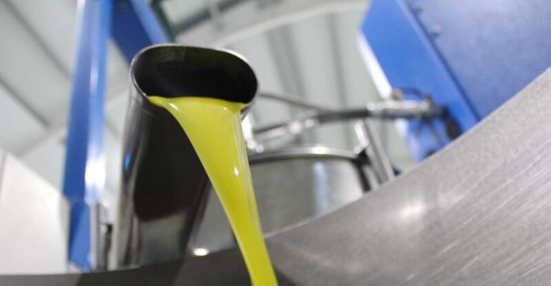 Guided Tour and Oil Tasting at the Aceites Molisur Factory - Key Points