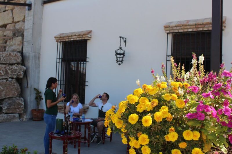 Guided Tour and Oil Tasting at the Aceites Molisur Factory - Olive Oil Production Process