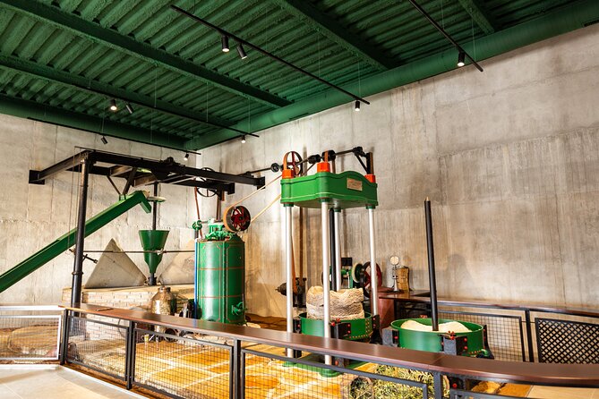 Guided Tour and Olive Oil Tasting in Alhaurin El Grande (Malaga) - Olive Oil Production Process