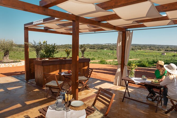 Guided Tour and Olive Oil Tasting in Mallorca - Experience Highlights